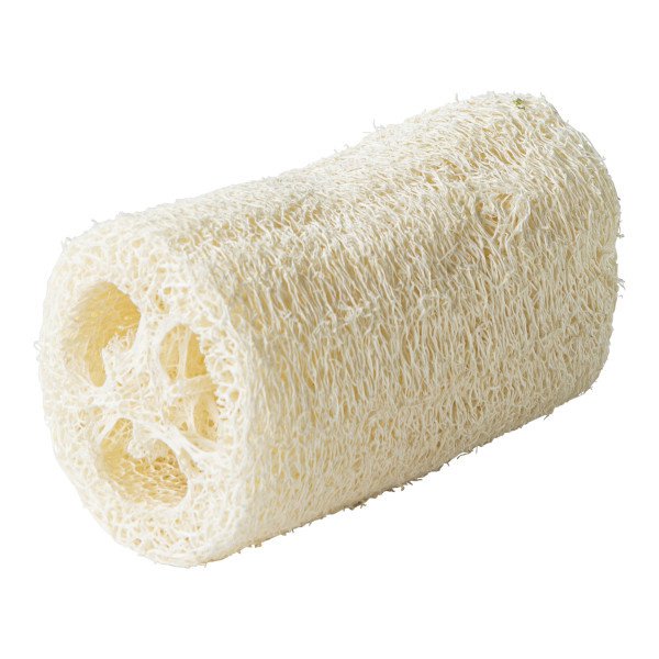 Scrub sponge loofah